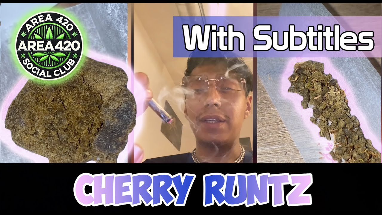 Cherry Runtz (M) Dry-Sift Review #185