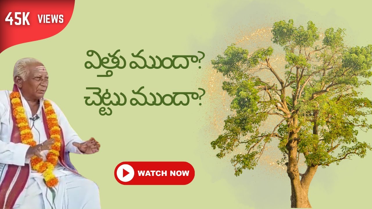 Seed or Tree First? విత్తు ముందా వృక్షం ముందా | Telugu Debate