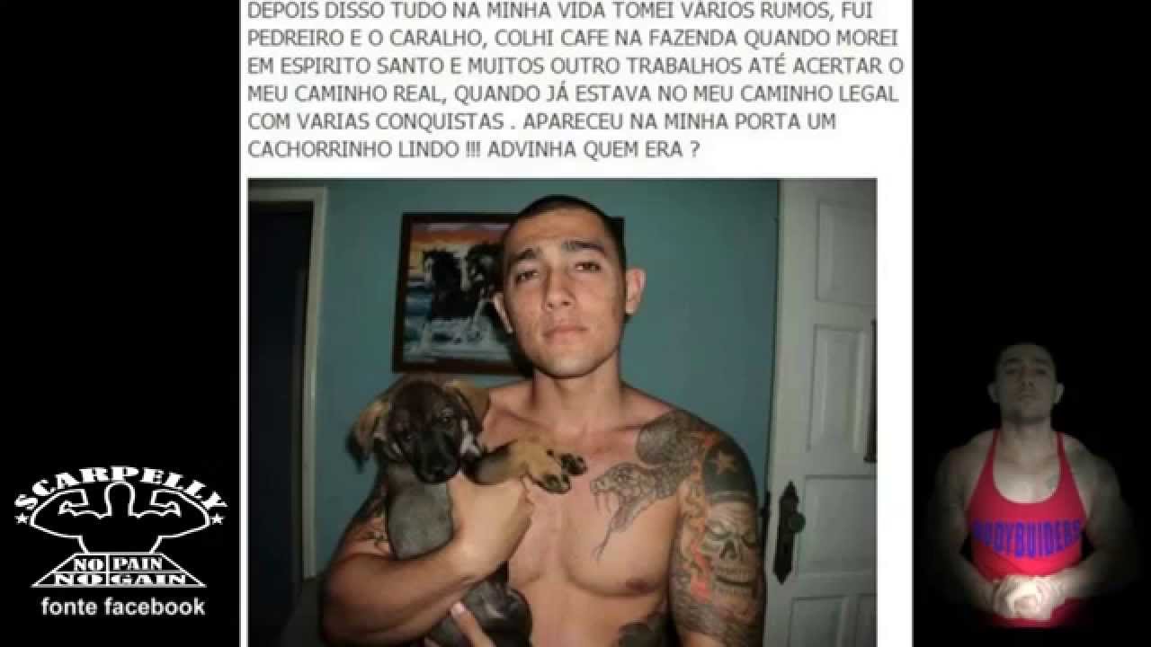 SCARPELLY - VIDA ANIMAL