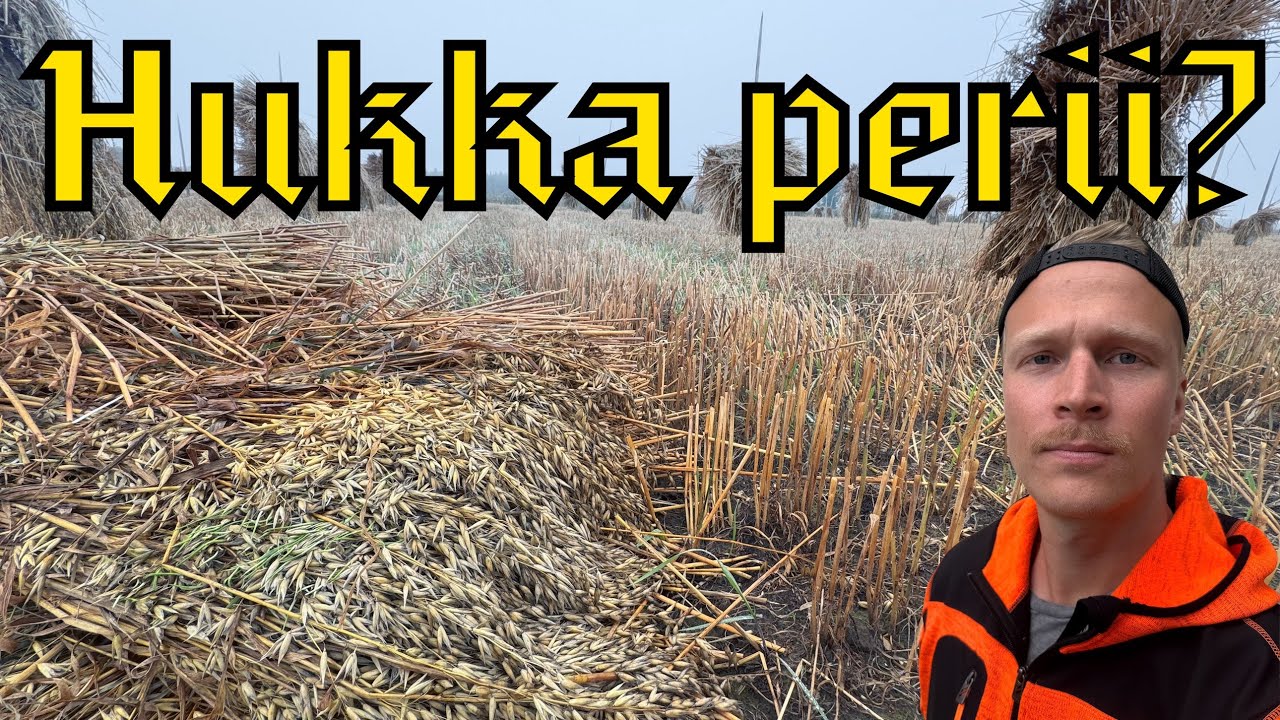 MUSTIA PILVIÄ KAURALYHTEIDEN PÄÄLLÄ / KAURALYHTEET OSA 3