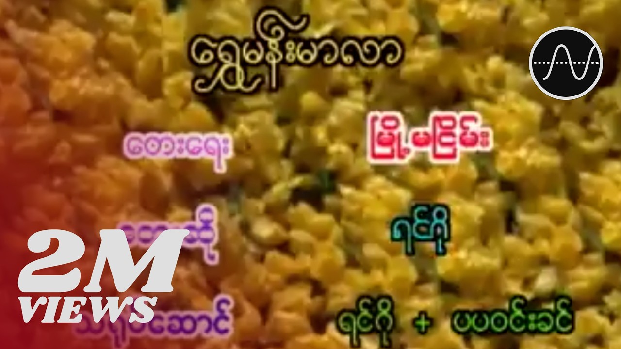 ရင်ဂို - ရွှေမန်းမာလာ (Ringo)