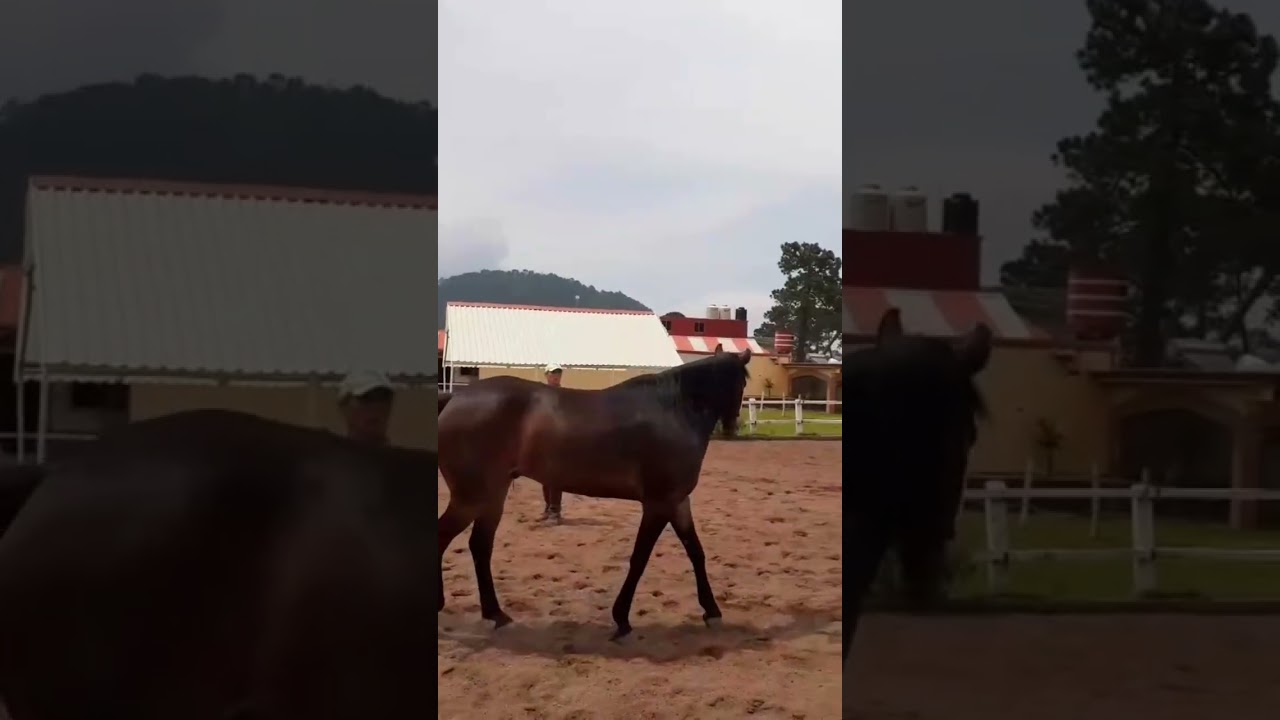 CHENCHO PRIMERA VEZ PIE A TIERRA 