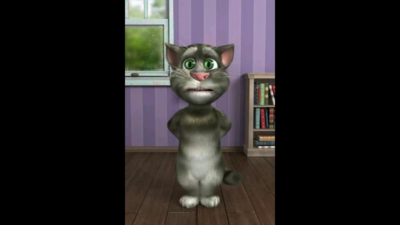 Harjit Harman Diljaani Song FT.TALKING TOM.