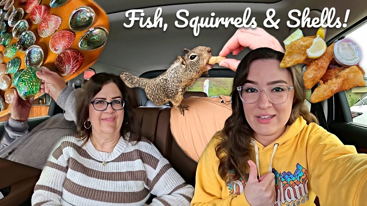 Famous Fish & Chips, Morro Bay Rock & Feeding Squirrels! - VLOGMAS 2024: DAY 5