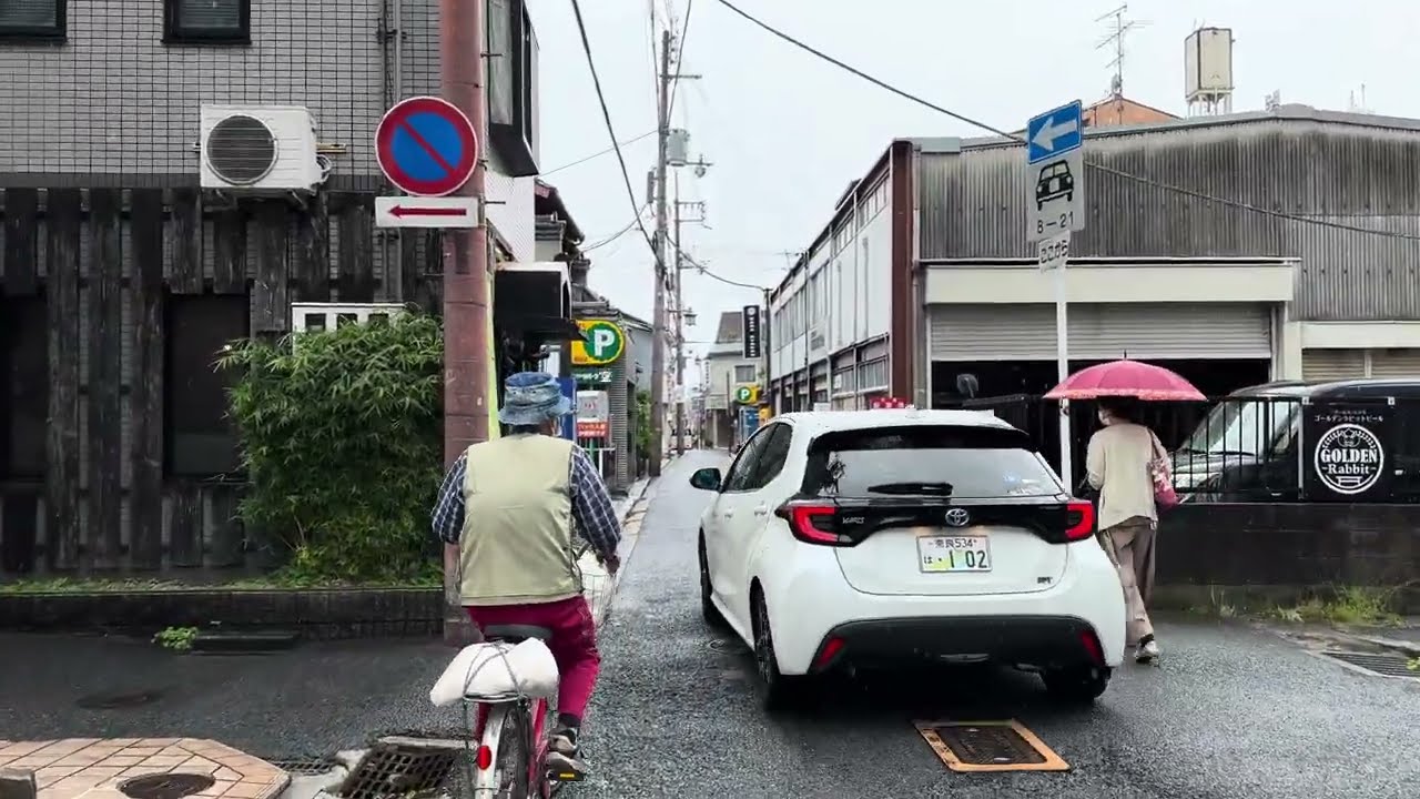 Japan Nara Rain Walk in 4K | Serene Stroll Through Nara City's Historic Laneways