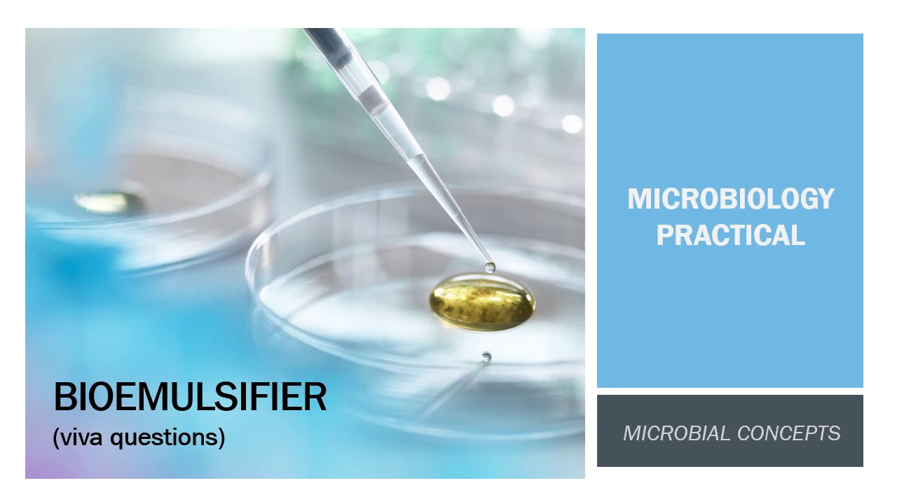 Bioemulsifier (with viva questions) | MSc Microbiology practical series