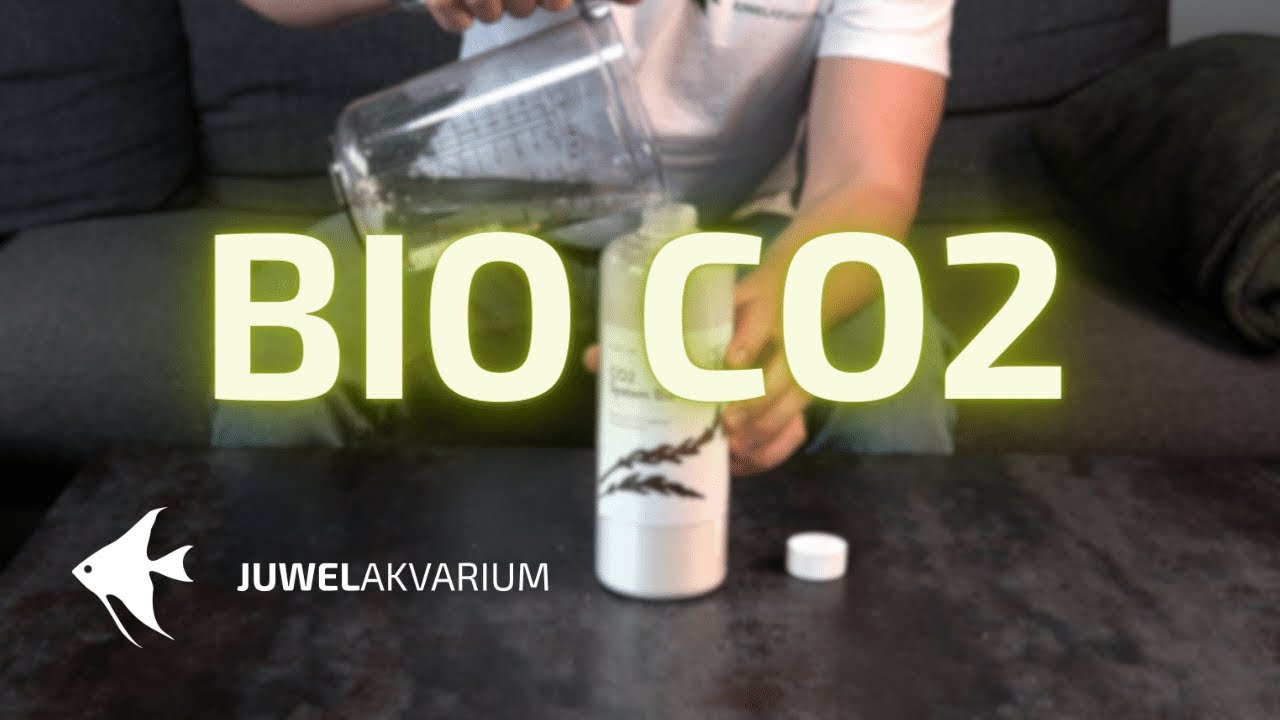 CO2 systém BIO - návod na složení a spuštění