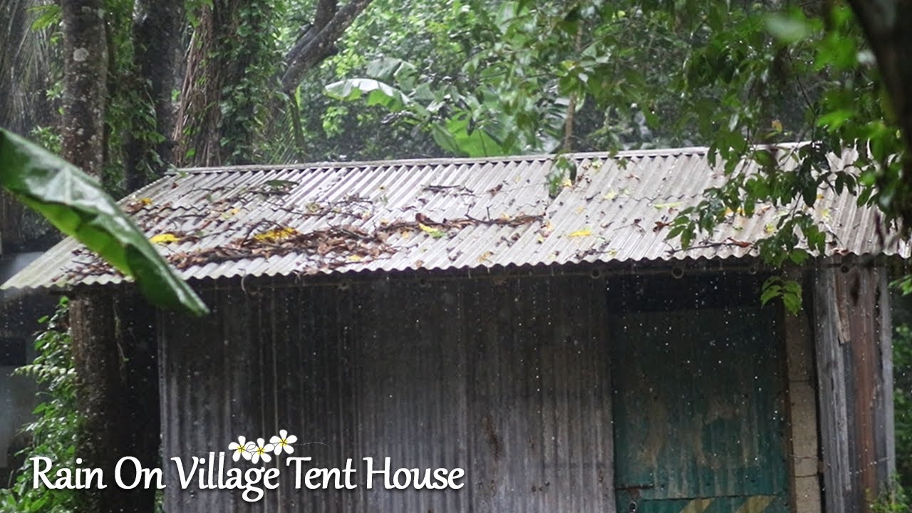 Relaxing Soft Rain Falling on a Village Tent House | Tin Roof Rain Sounds for Sleeping