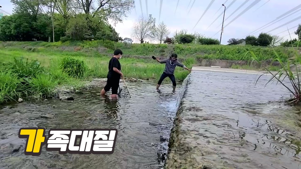족대질과 어포기로 물고기잡기/ 가족들과 하천에 갔는데....