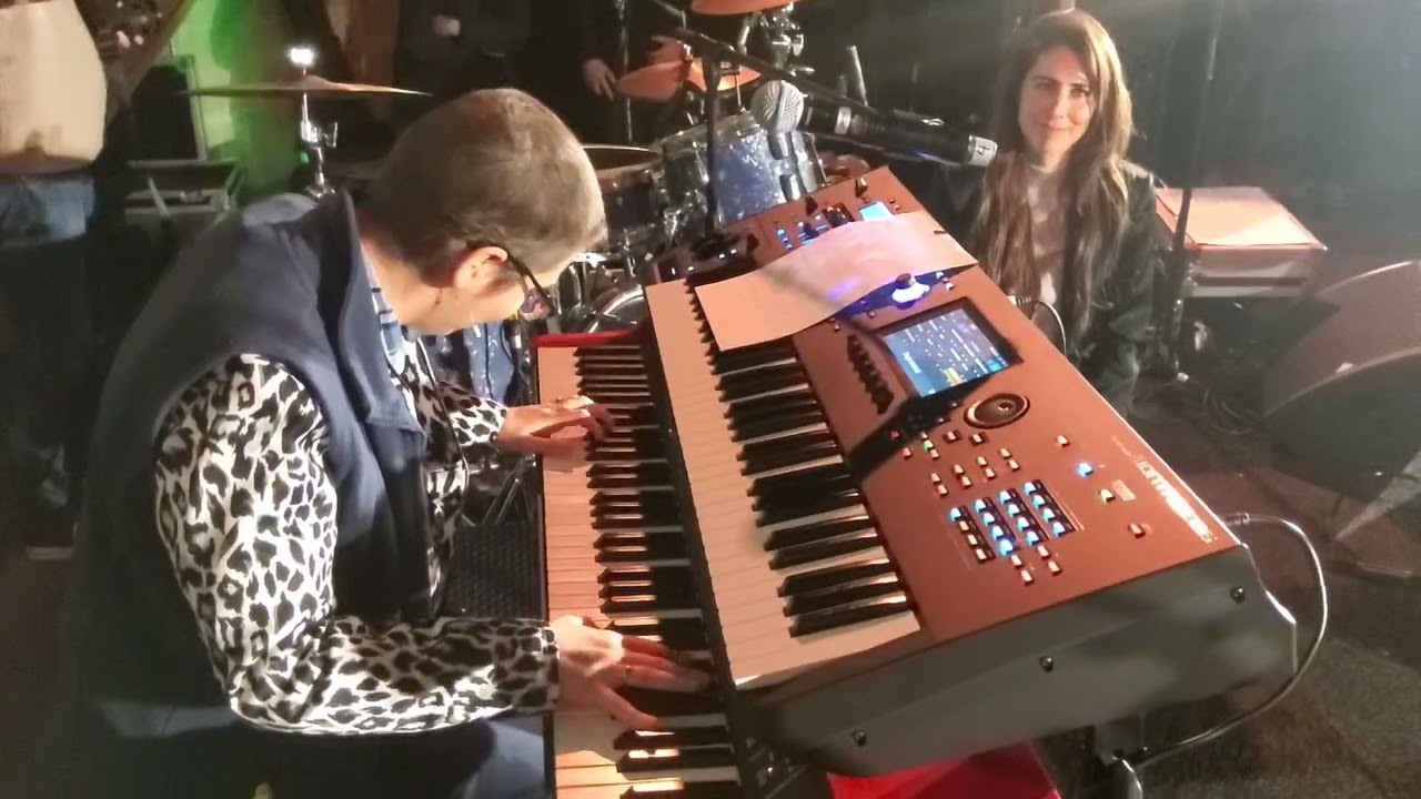 Experience Ludovico Einaudi /( Iris Hond )🎶