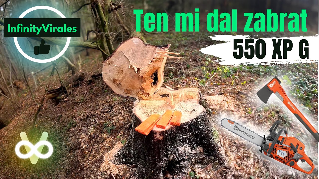 Devadesáti letá probírka 🌲| Husqvarna 550xp v akci 🪚