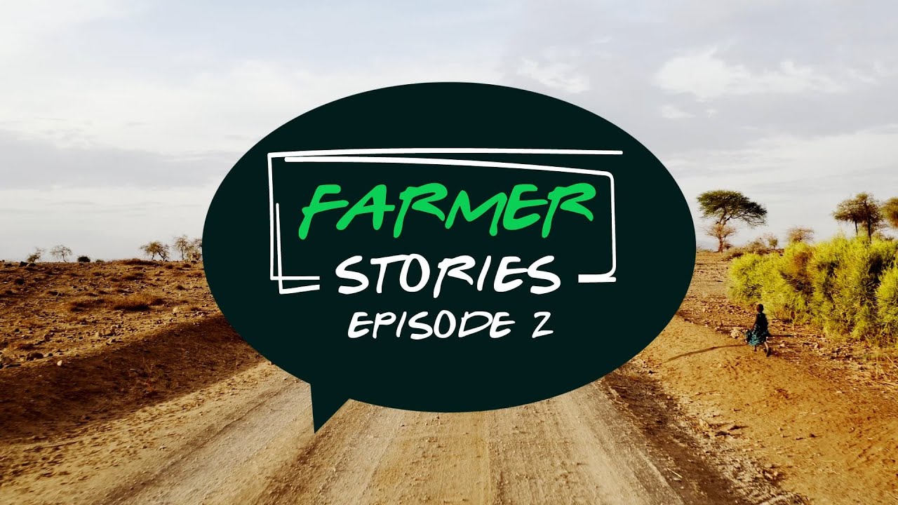 Farmer Stories | Episode 2 | A documentary by Justdiggit
