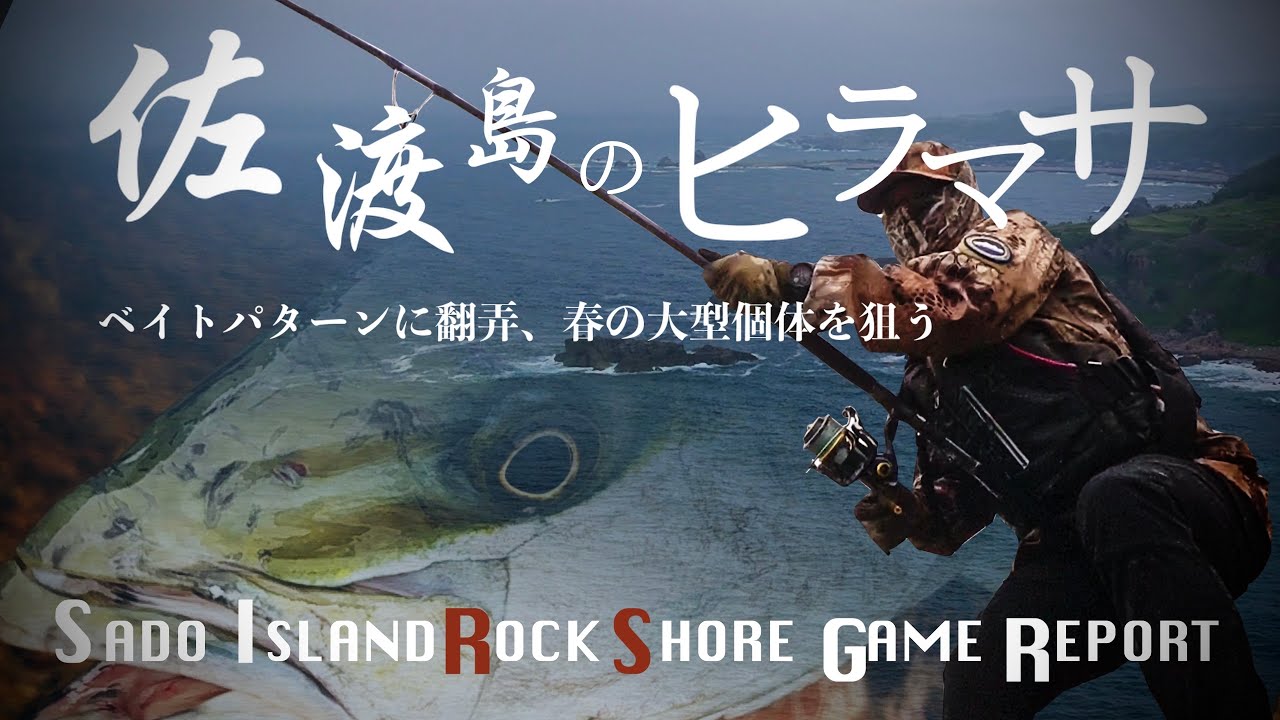 【ショアヒラマサ】出るのにかからない良型の単発バイト、それをかけるための心構え【佐渡】