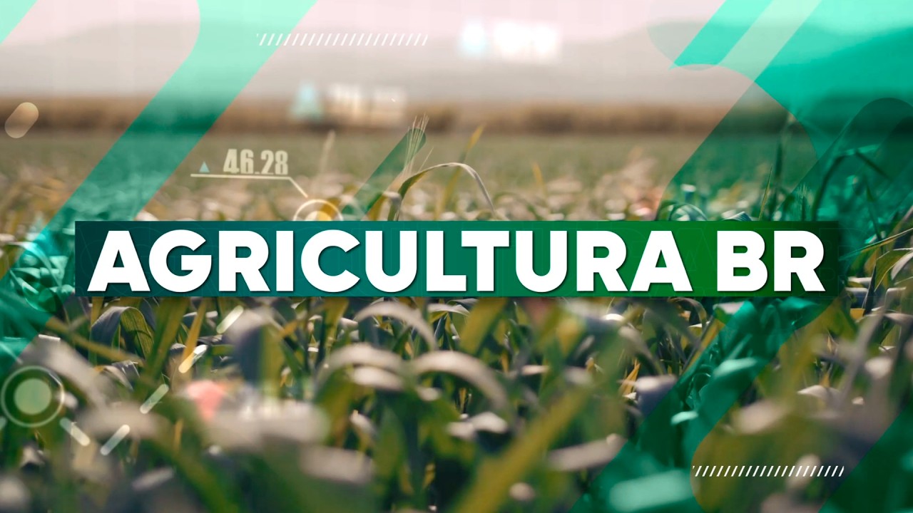 Exportações do café em queda e manejo da soja contra pragas no campo AGBR2 | 11/02/2026