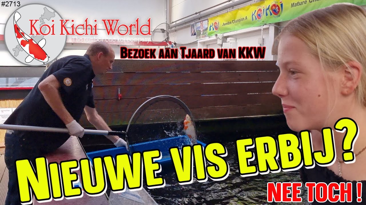 Bezoek brengen aan KOI KICHI WORLD in RIDDERKERK bij TJAARD. Zien we nog een MOOIE KOIKARPER? #2713