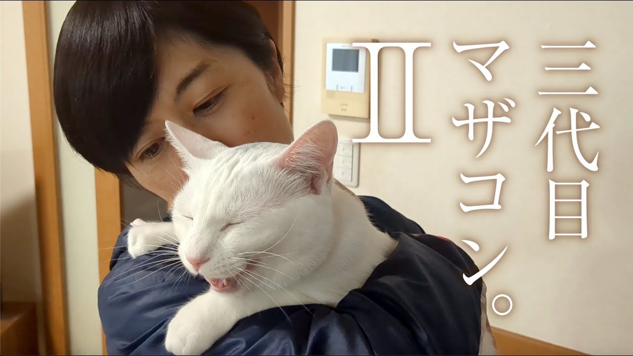 妻を溺愛する、元迷い猫。