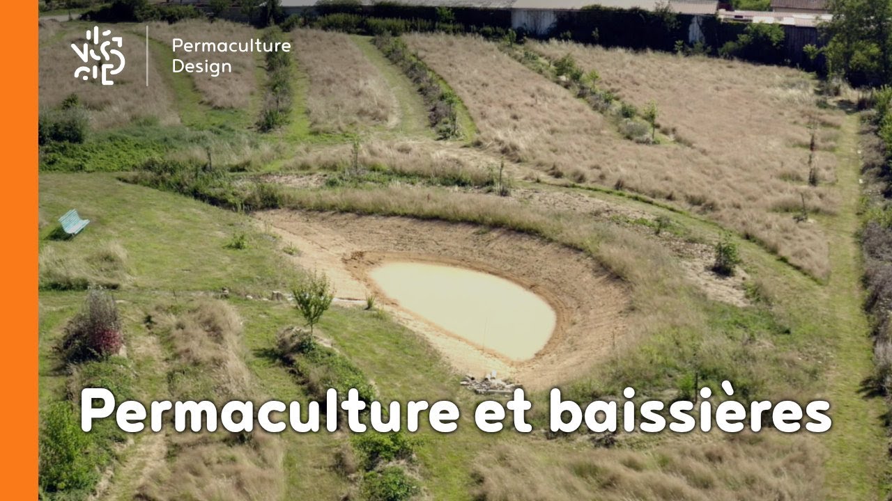 Permaculture et baissières