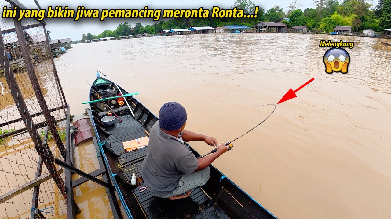 Strike ikan patin besar bikin heboh ‼️ mancing di depan rumah Apung Di Sungai Besar Kalimantan