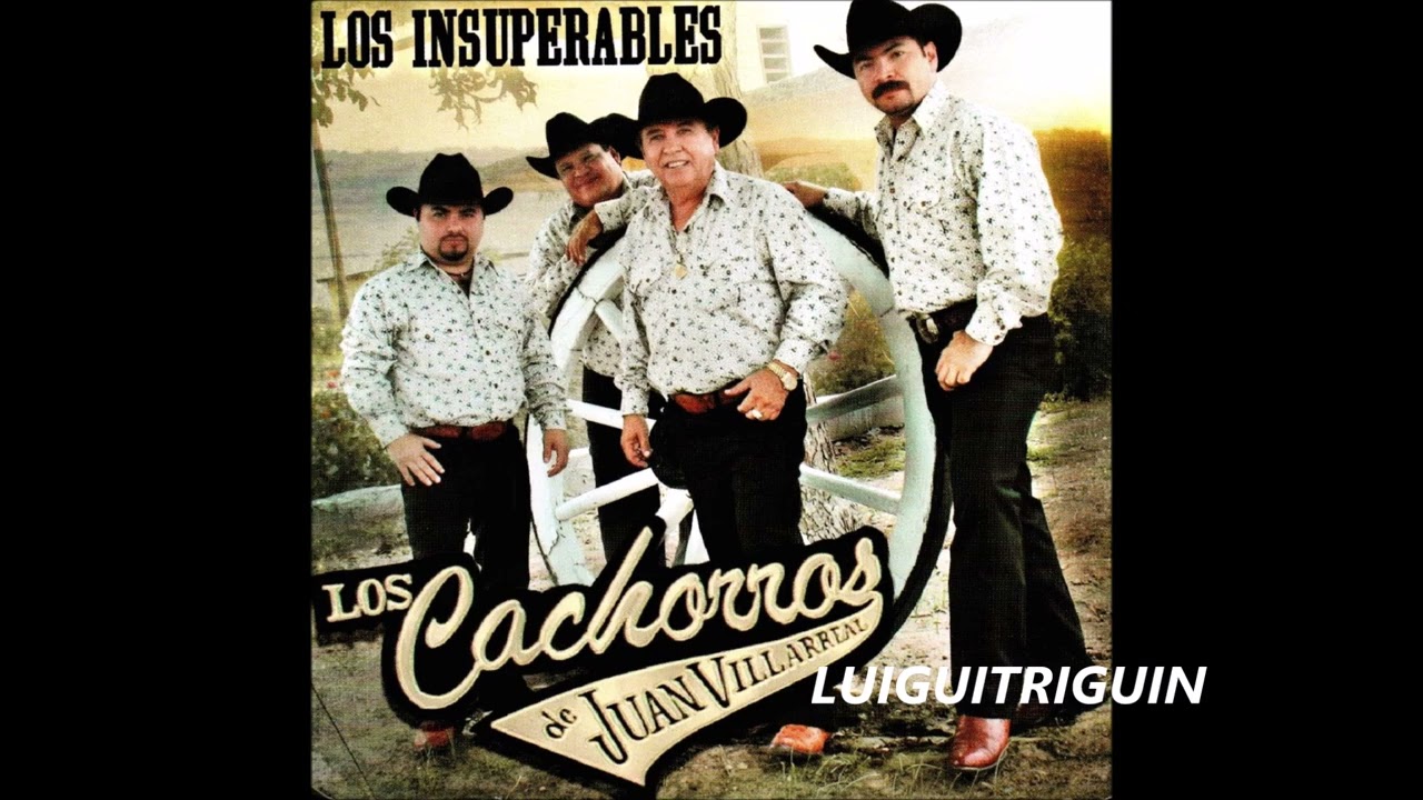 JUAN VILLARREAL Y SUS CACHORROS Mix De Puras Perronas