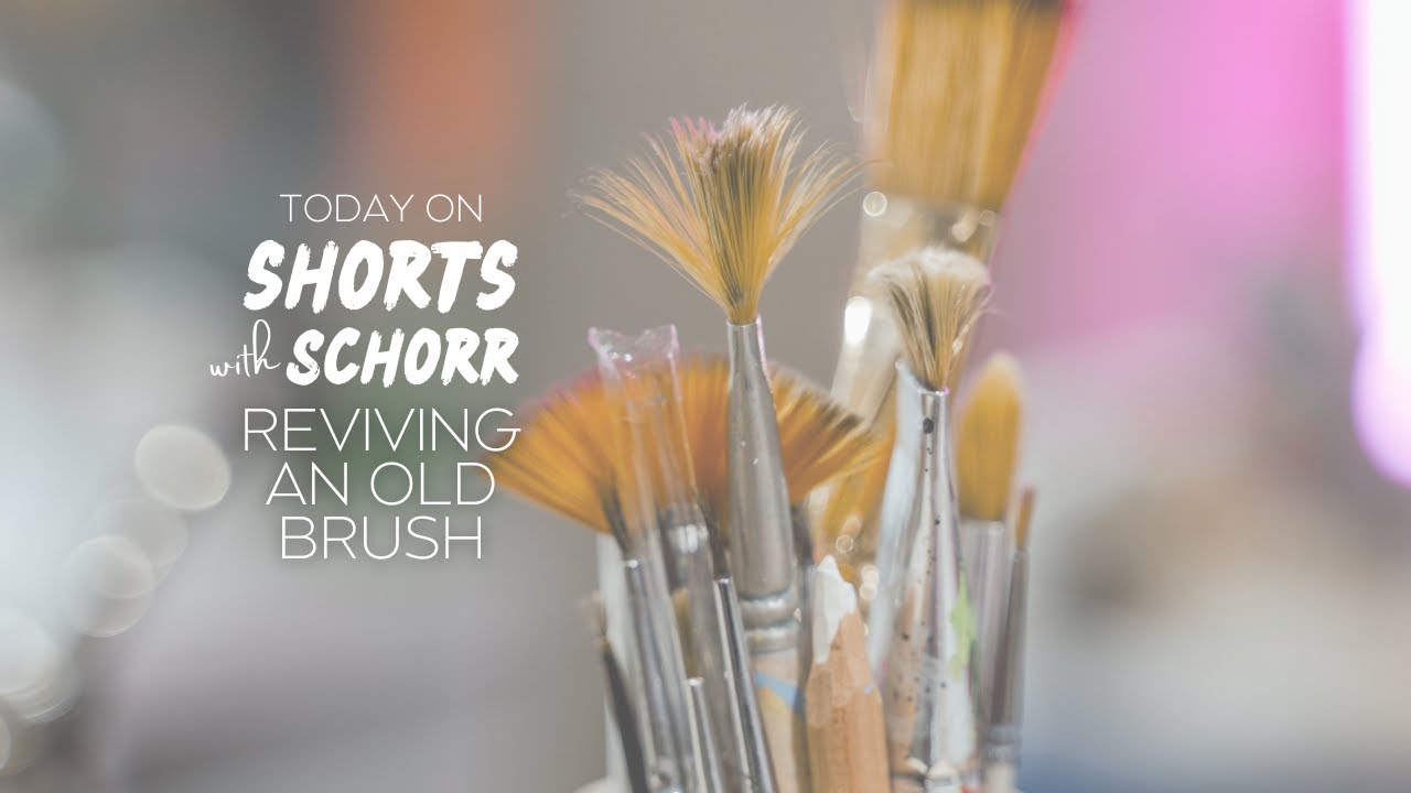 Revive Your Overused Paint Brushes | Shorts with Schorr