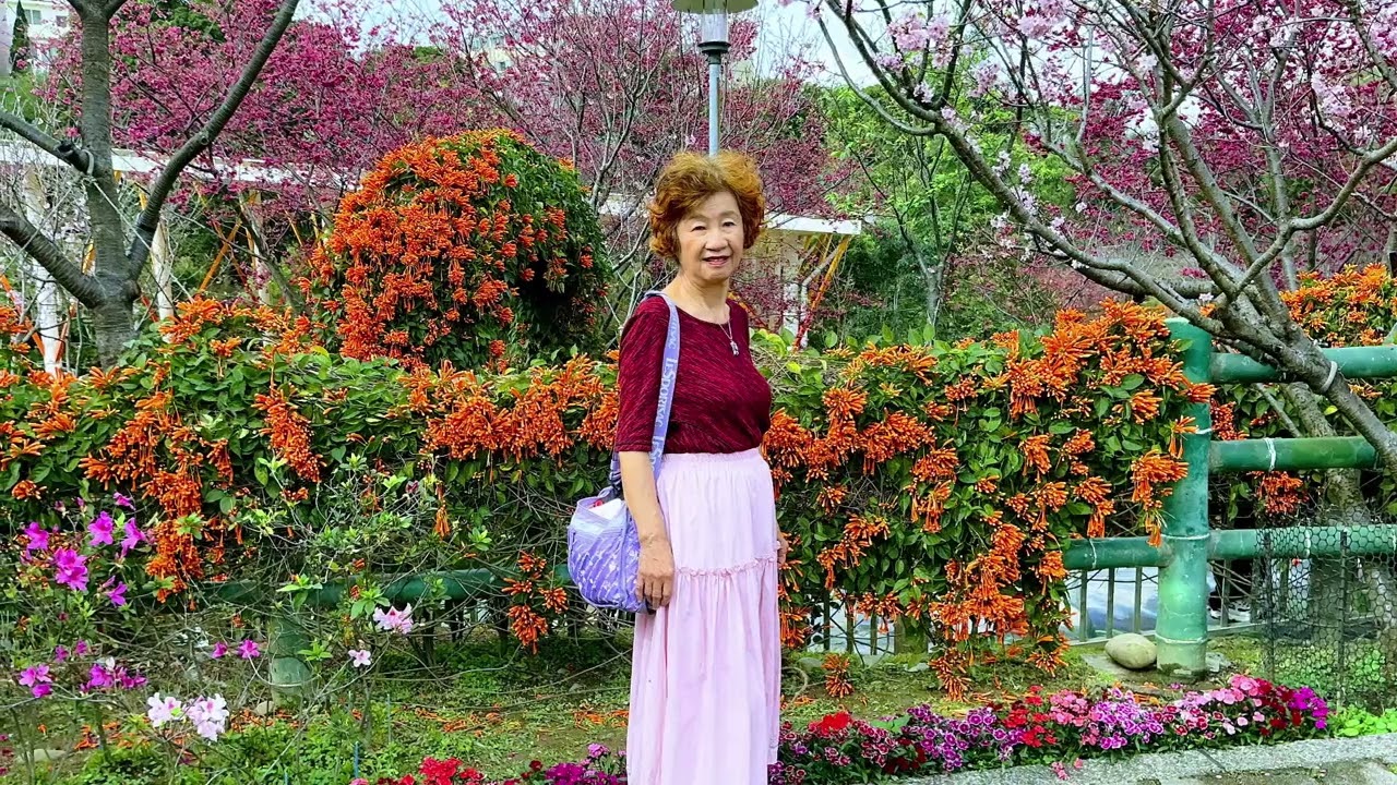115年2月27日鶯歌永吉公園百花齊放（1）1）