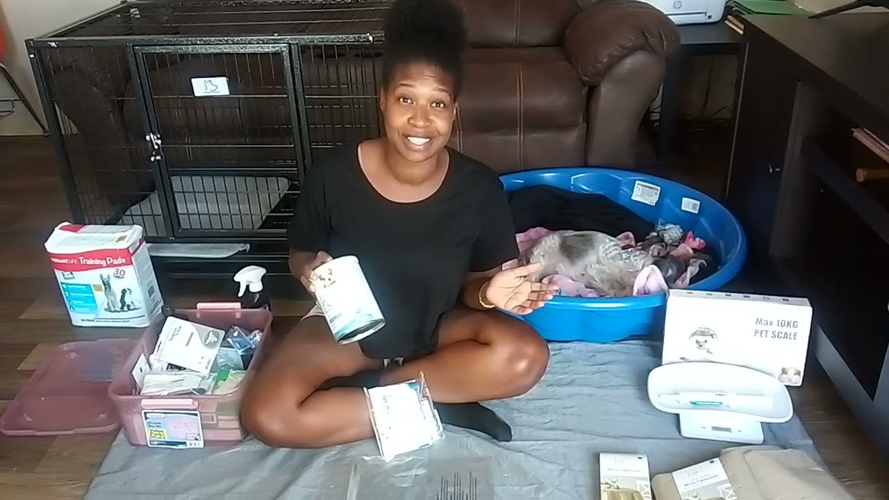 Affordable Whelping Kit & More