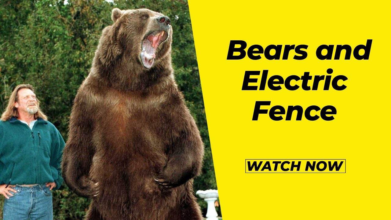 Electric Fence vs Wildlife, Bears, and Polar Bears