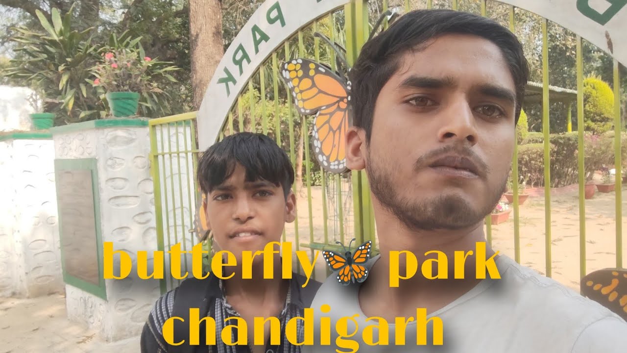 🦋Butterfly Park Chandigarh|| dekne ko mili small 🤏fish|| anshuvermavaru official