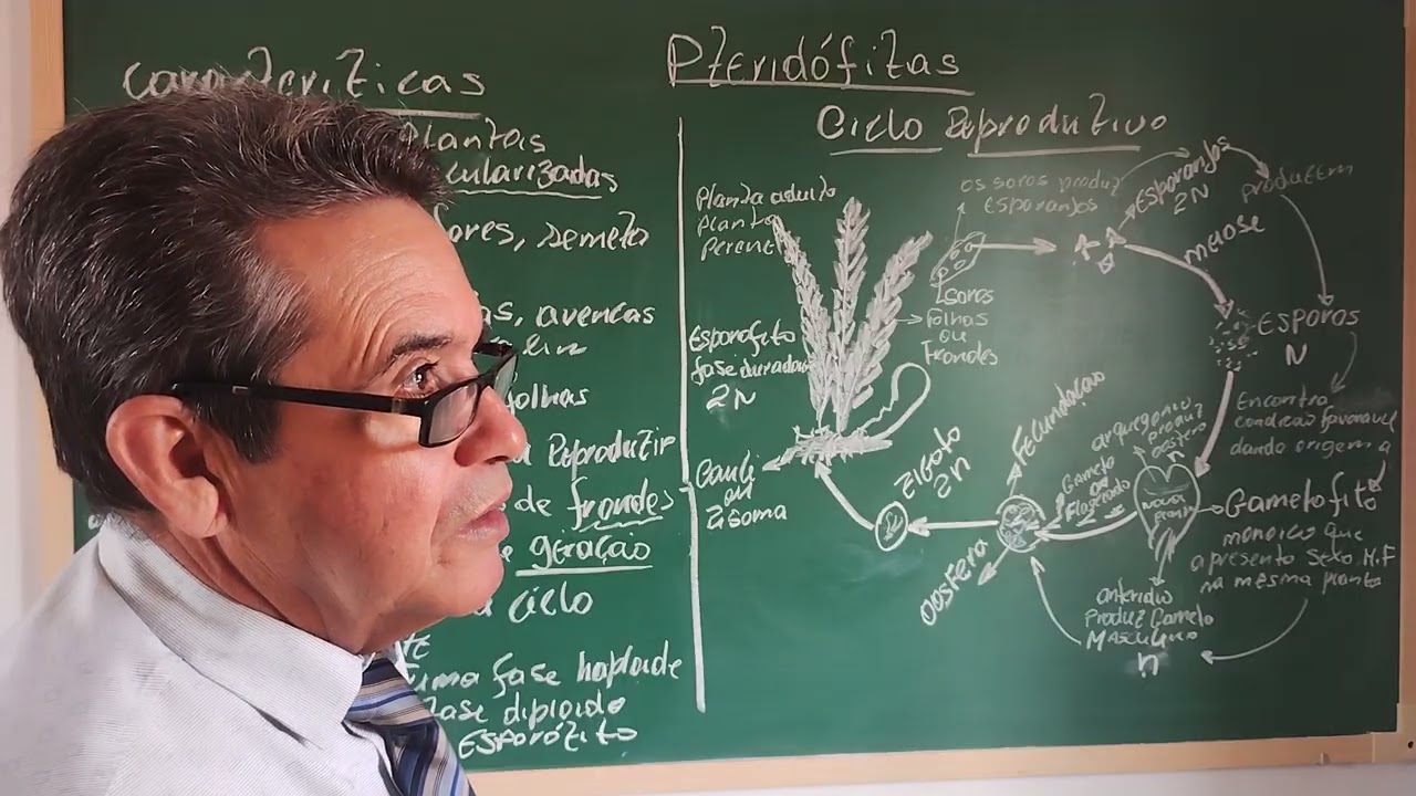 AULA 5 CICLO REPRODUTIVO DAS PTERIDÓFITAS 