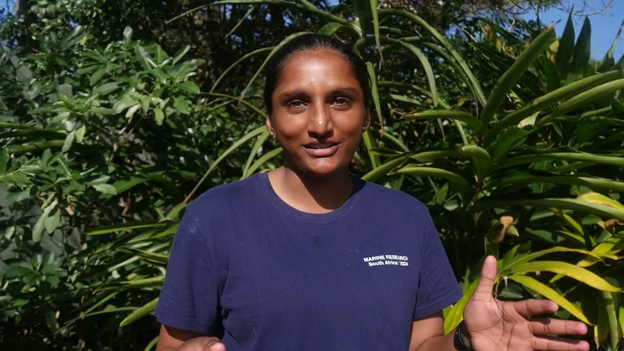 Marine Conservation South Africa Mansi