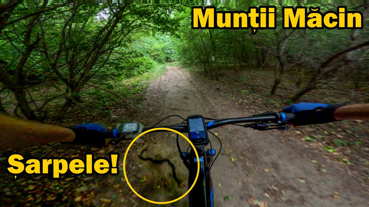 mi-a dat panică Șarpele ăsta | munții Măcin