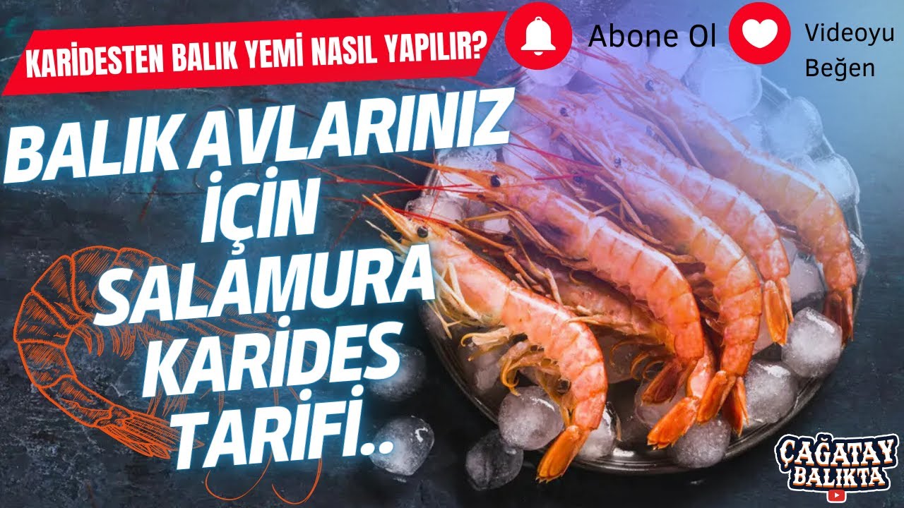 Karidesten Balık Avı İçin Yem Hazırlama Tarifi !! #balıkyemi #karides #tarif
