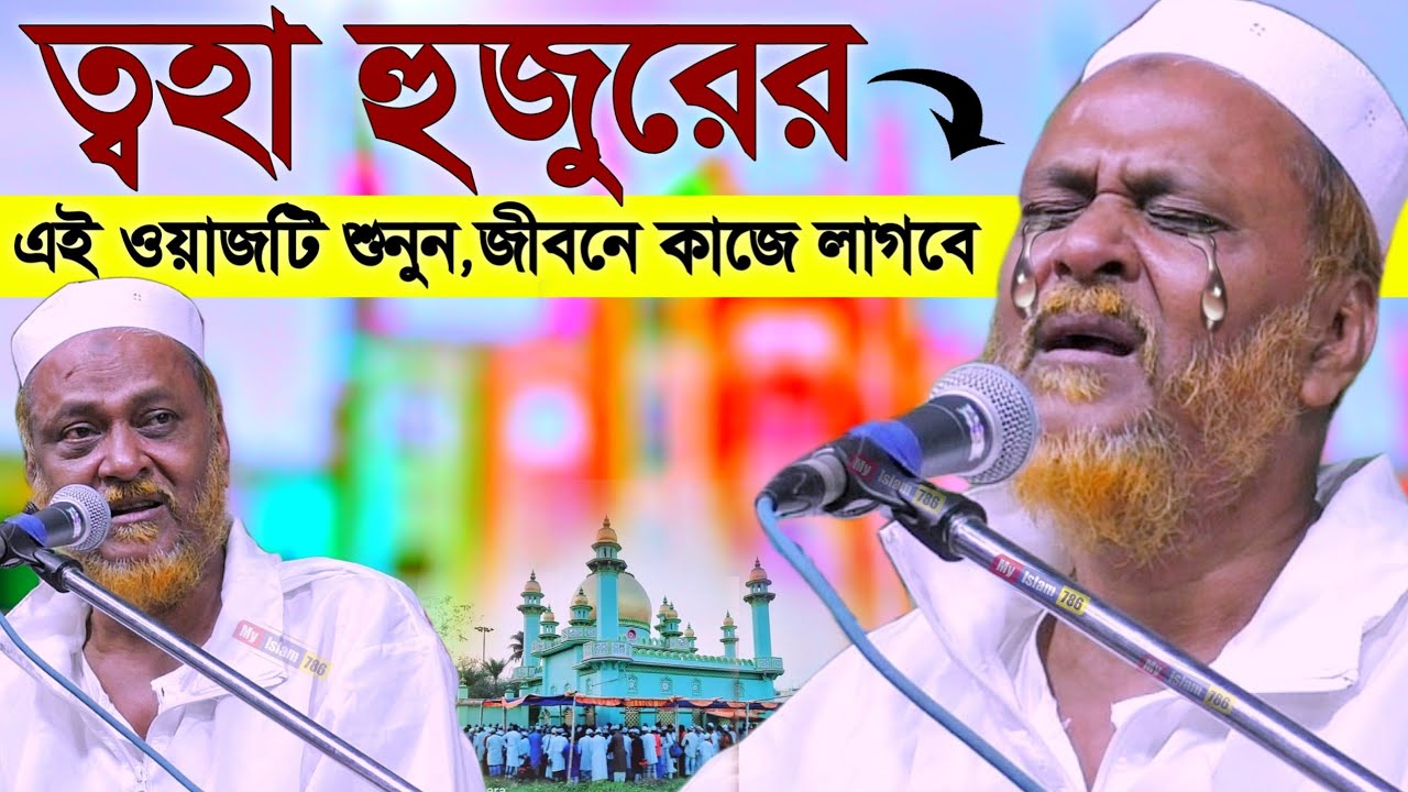 ত্বহা হুজুরের এই ওয়াজটি শুনুন┇জীবনে কাজে লাগবে┇pirzada toha siddiqui waz┇Toha Siddique furfura waz