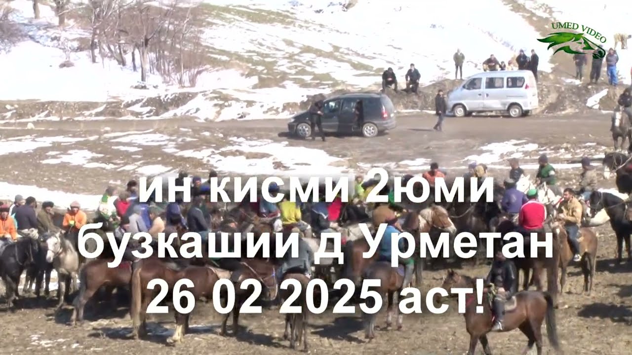 Бузкашии д Урметан 26 02 2025 кисми 2. UMED VIDEO. TAJIKISTAN. ZARAFSHON.