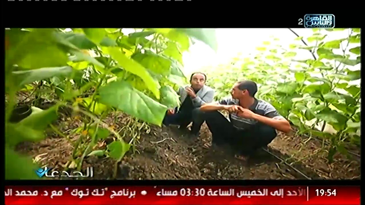 الجدعان | يزور اكبر مزارع انتاج ديدان ال فيرمي كمبوست في الشرق الاوسط