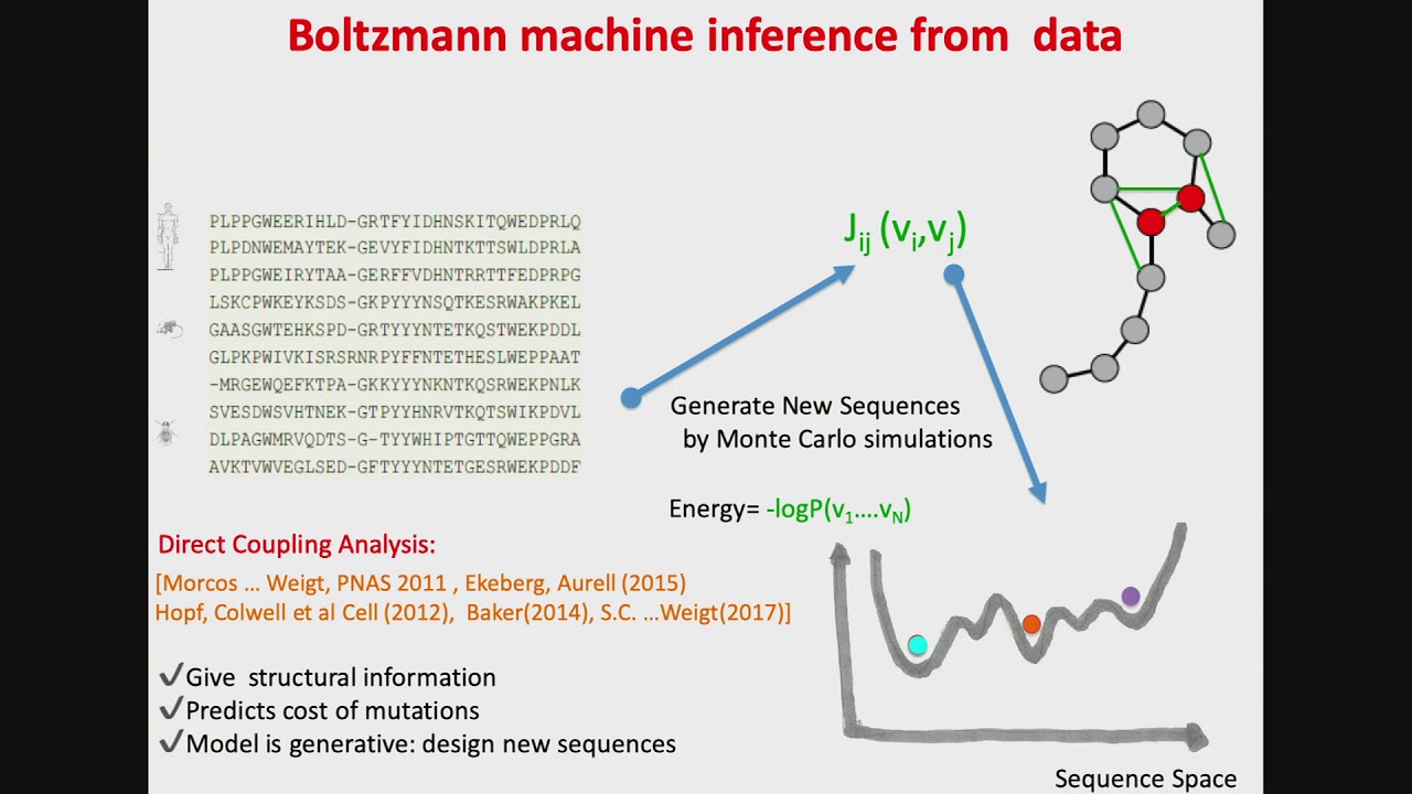 From sequence data to protein design with Boltzmann machines