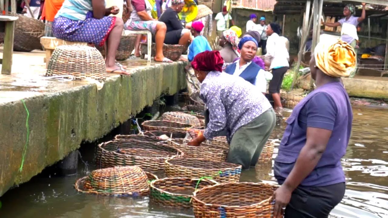 Nigeria Biggest Crayfish Market