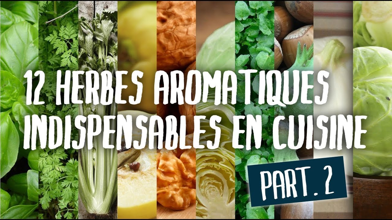 12 herbes INDISPENSABLES en cuisine (part.  2)