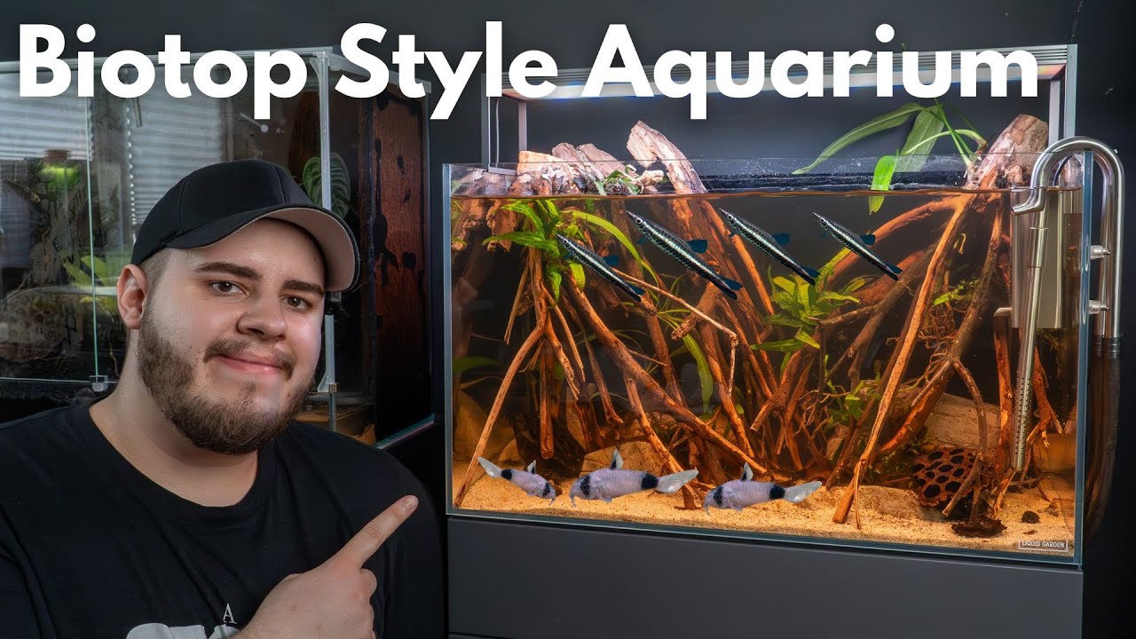 Mein erstes Biotop Style Aquarium!