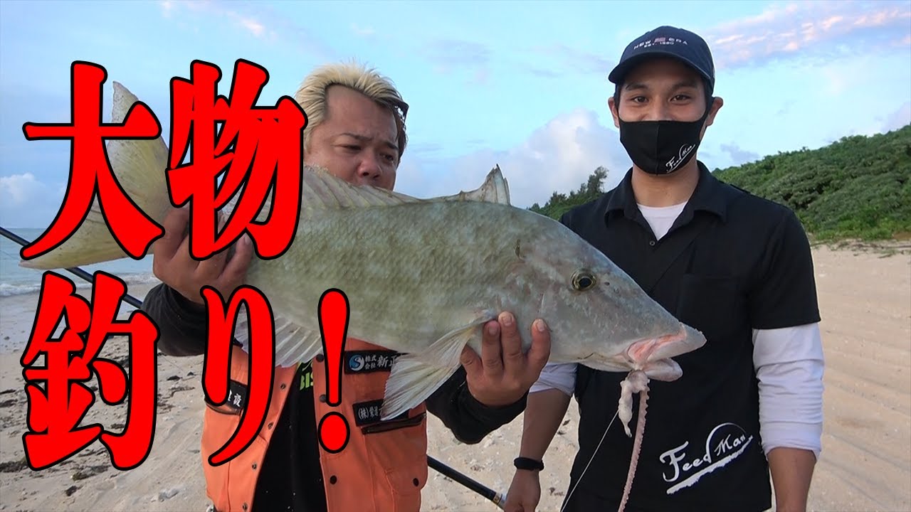 【沖縄】石垣島で大物釣り!!巨大魚が釣れる!