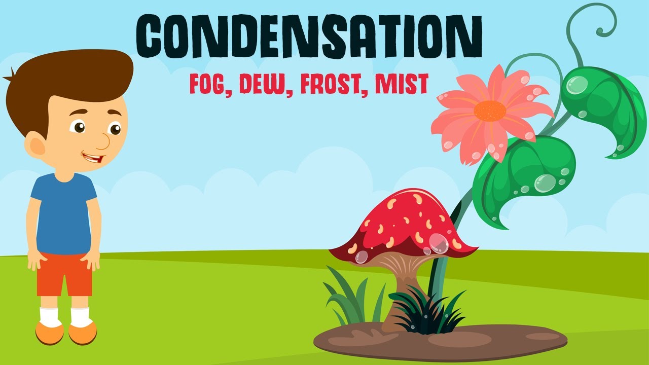 Condensation and it's forms  | Dew, Fog, Frost and Mist | Video for Kids