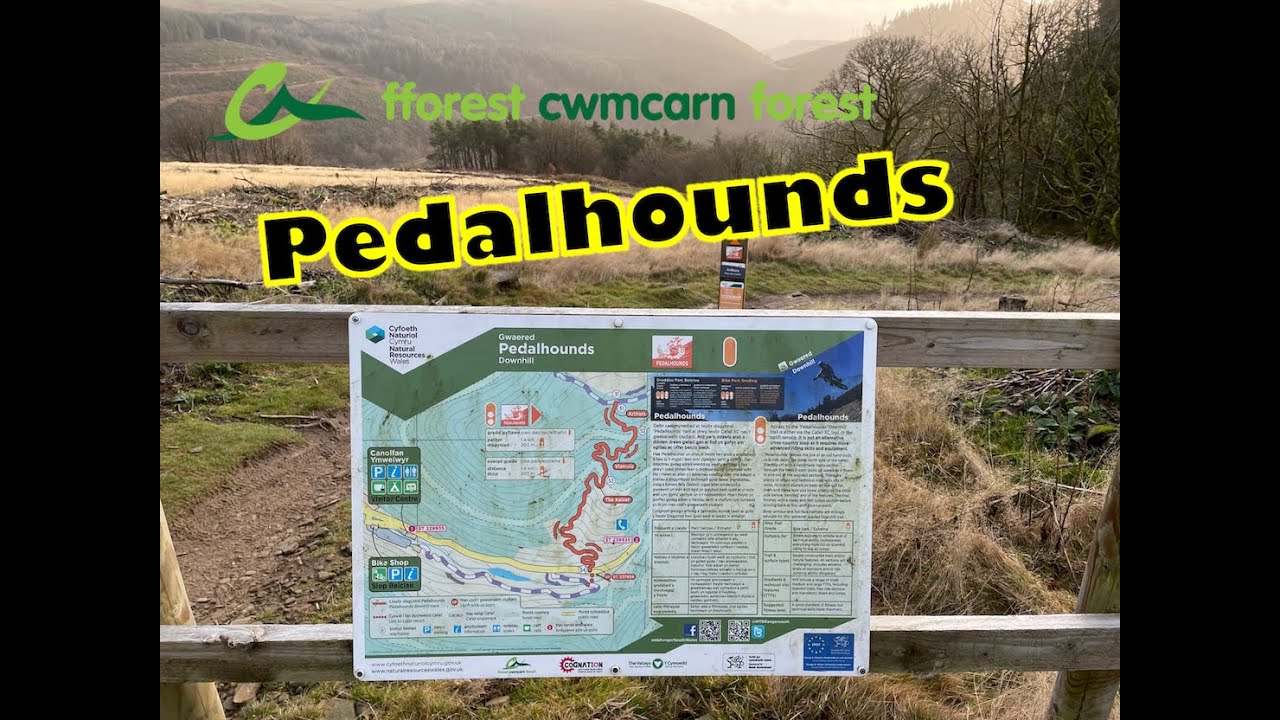 Pedalhounds #mtbtrail at Cwmcarn