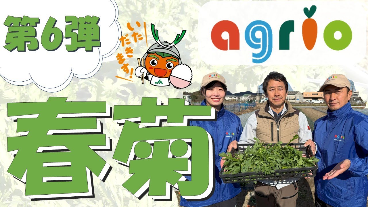アグリオ「春菊」 編