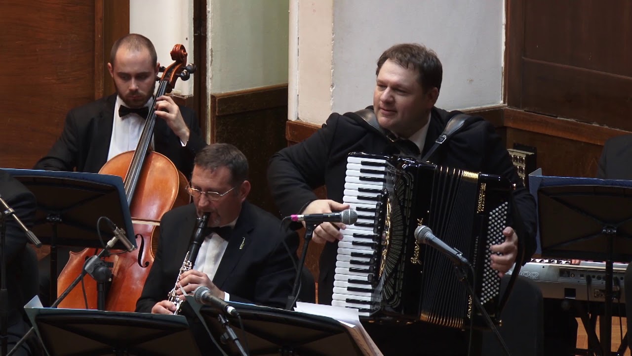 Ristovka kolo - Radovan Maric - solo harmonika i Narodni orkestar