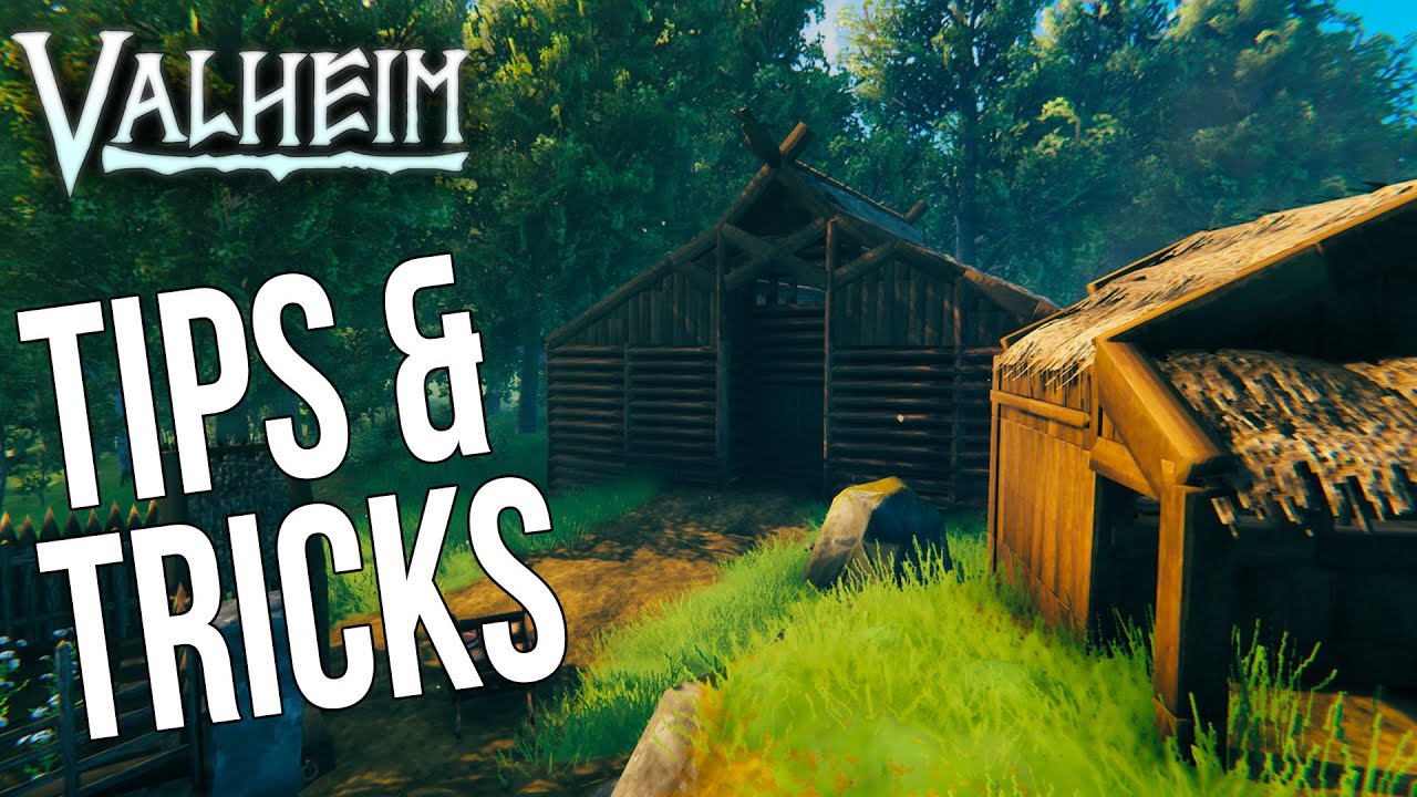 VALHEIM - TIPS & TRICKS (LOW SPOILERS)