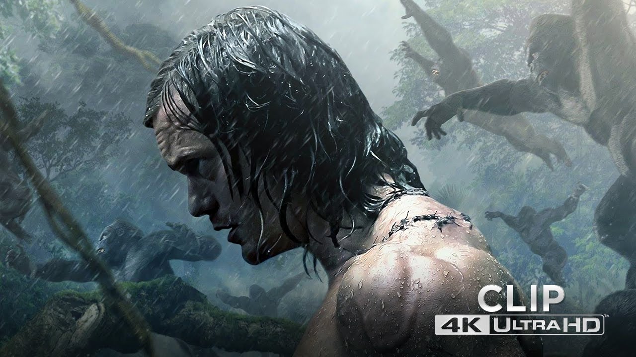 LEGEND OF TARZAN - 4K Ultra HD Clip