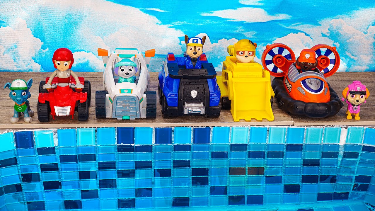 PAW Patrol Rescue Wheels Adventures | Looking for Paw Patrol in the pool