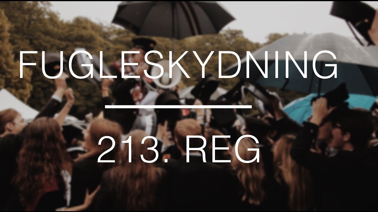 Fugleskydning 2016 - 213. REG
