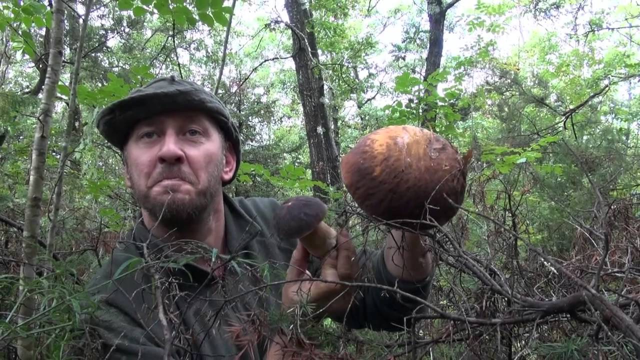Porcini Ovoli e Bombe