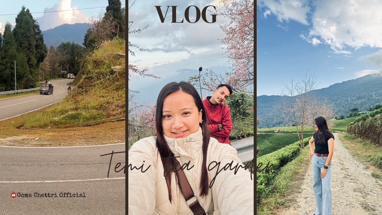 Sikkim's most beautiful SPOT !! Pink  view !! Temi Tea Garden !!